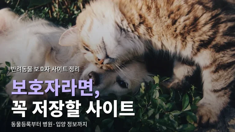 반려견·반려묘 보호자가 즐겨찾기해 둘 사이트 유형 다섯 가지